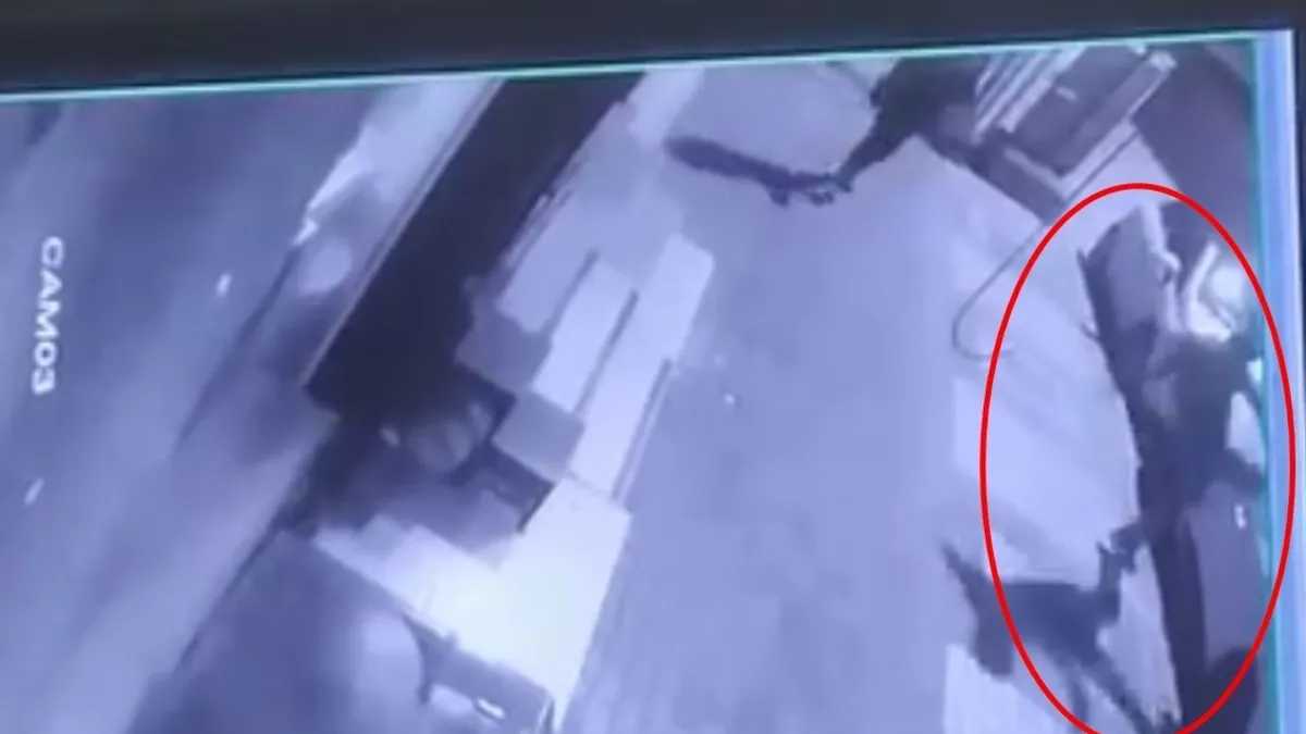 Bursa’da akılalmaz olay: Otomobillerin aynalarını kırıp, kaportalarını çizdiler! Bursa’da akılalmaz olay: Otomobillerin aynalarını kırıp, kaportalarını çizdiler!