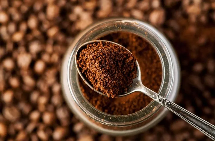 Kahve telvesinden yerli tohum üretti! 4 ayda yetiştirdi