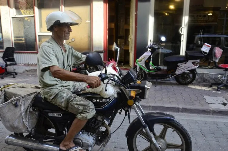 Bu horozu gören dönüp bir daha bakıyor: Motosiklete biniyor, salıncakta sallanıyor...