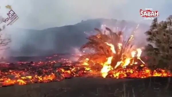 La Palma'da yanardağ kabusu sürüyor | Video