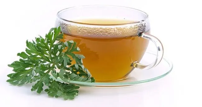 form cayi faydalari nelerdir form bitki cayi zayiflatir mi nelere iyi gelir saglik haberleri