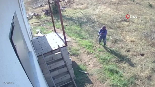 Çiftlikte dehşet kamerada! 2 köpeği av tüfeğiyle telef ettiler, 2 köpeği de zehirlediler | Video