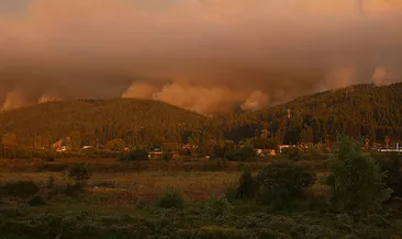 Şili’de orman yangını faciası: 18 ölü