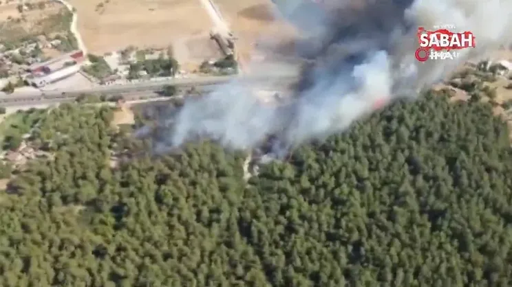 İzmir'de orman yangını | Video