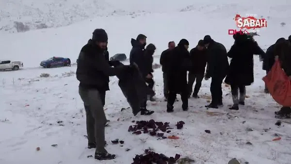 Dağ keçileri için yem bıraktılar | Video