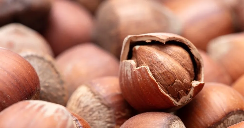 hamilelikte gunde 10 findik yenirse ne olur cocuk haberleri