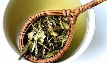 Beyaz çayın faydaları nelerdir? Beyaz çay nelere iyi gelir?