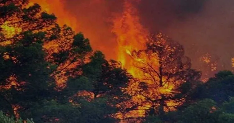 Yunanistan’da iki ayrı bölgede orman yangını!