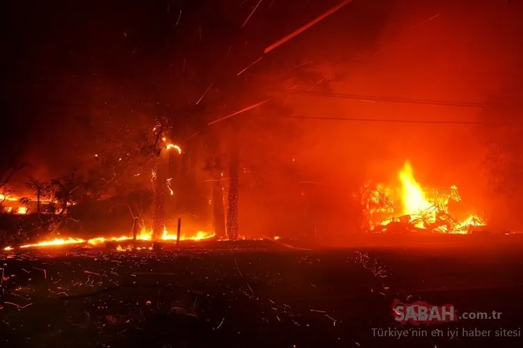 California’daki yangında hayatını kaybedenlerin sayısı 79’a yükseldi