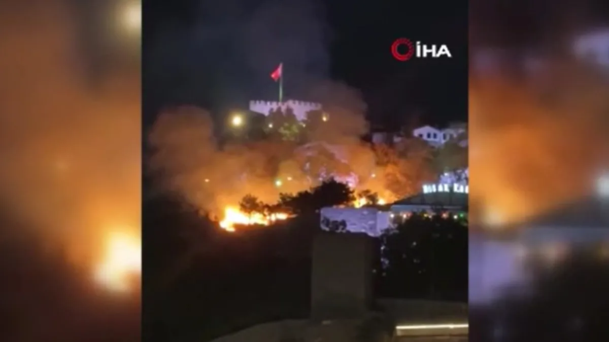 Ankara’da otluk alanda yangın çıktı Ankara’da otluk alanda yangın çıktı