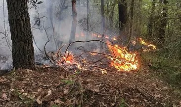 Ordu’da ormanlık alanda örtü yangını