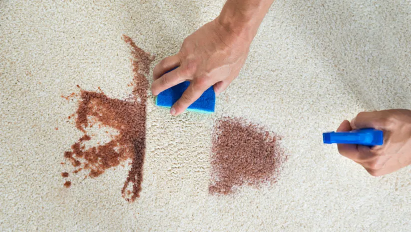 Halıdaki lekelerden eser bırakmıyor! Tek hamlede kirleri ortadan kaldıran o doğal yöntem