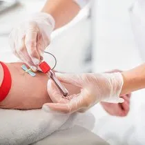 plt nedir kan tahlilinde plt dusuklugu ve yuksekligi ne anlama gelir trombosit normal degerleri saglik haberleri