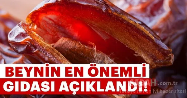 Beynin en önemli gıdası açıklandı! İşte beyin için yararlı ve zararlı besinler