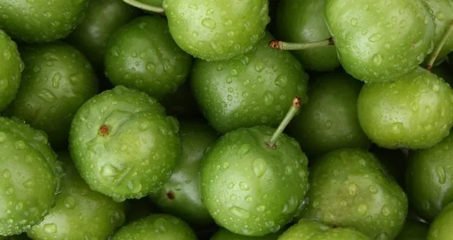 Ruyada Yesil Erik Gormek Ne Demek Ruyada Yesil Erik Yemek Ve Toplamak Ne Anlama Gelir Ruya Tabirleri Haberleri