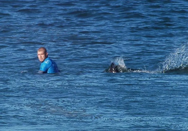 Ünlü sörfçüye köpekbalığı saldırısı!