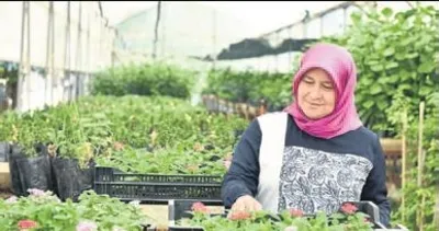 Kepez artık kendi bitkisini üretiyor