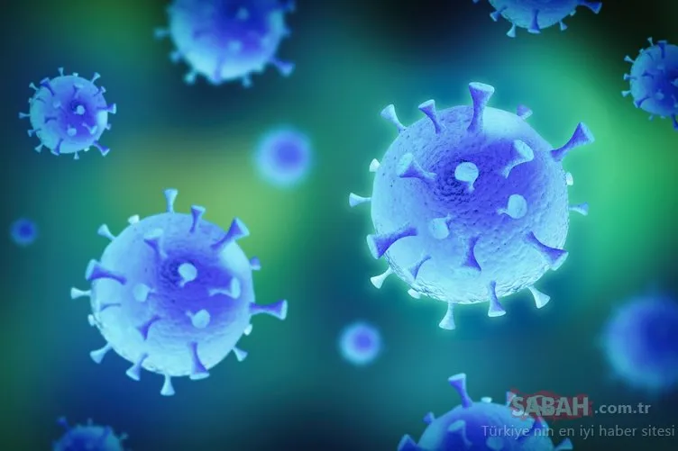 Çinli uzmanlardan flaş koronavirüs açıklaması! Corona virüsünün genom dizilenmesinde...