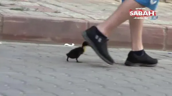 Bursa'nın Karacabey ilçesinde bir gencin minik ördekle dostluğu görenleri şaşırtıyor