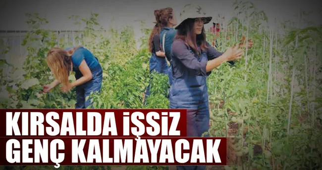 Kırsalda işsiz genç kalmayacak