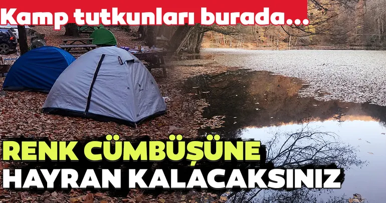 Renk cümbüşü Yedigöller