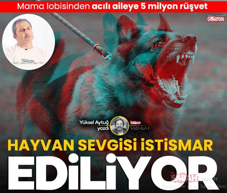 SON DAKİKA: Hayvan sevgisi istismar ediliyor! Mama lobisinden acılı aileye 5 milyon rüşvet