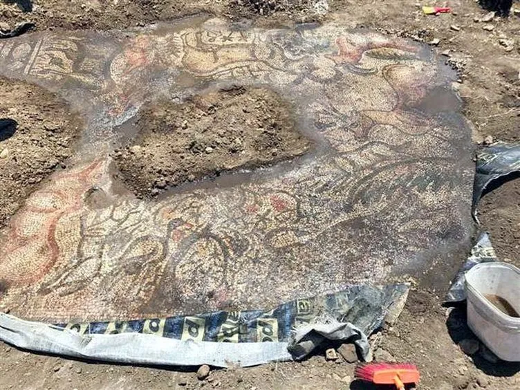 Çiftçilik yapan iki kardeş Roma mozaiği buldu