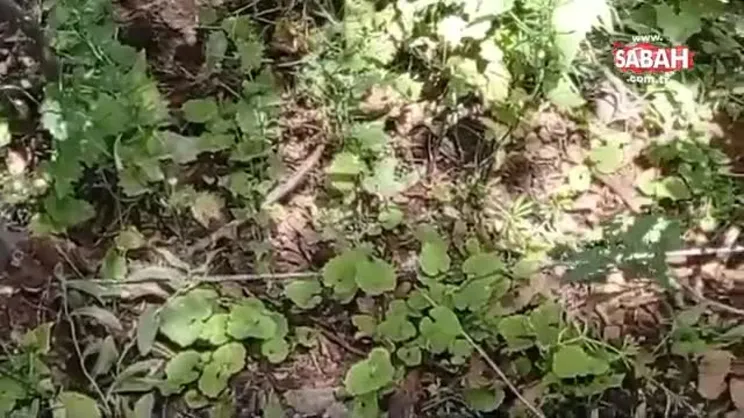 Terör örgütlerine nefes alamaz hale getirildi! Terör örgütlerine şehir ve kırsalda üst üste operasyon | Video