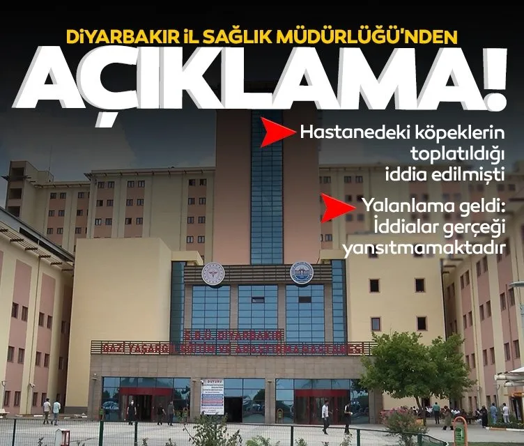 Hastanedeki köpeklerin toplatıldığı iddia edilmişti: Diyarbakır İl Sağlık Müdürlüğü’nden açıklama geldi