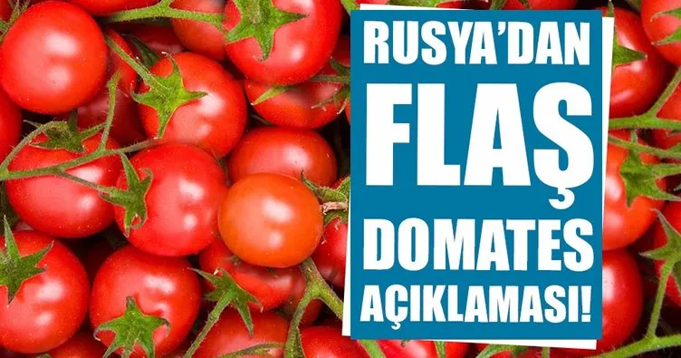 Rusya’dan domates ithalatına şartlı yeşil ışık