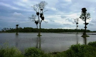 Kızılırmak Deltası Kuş Cenneti ‘kesin korunacak hassas alan’ ilan edildi