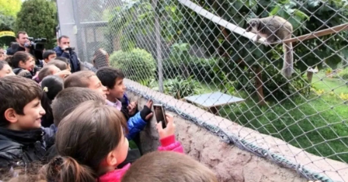 Стамбул зоопарк Стамбул зоопарк