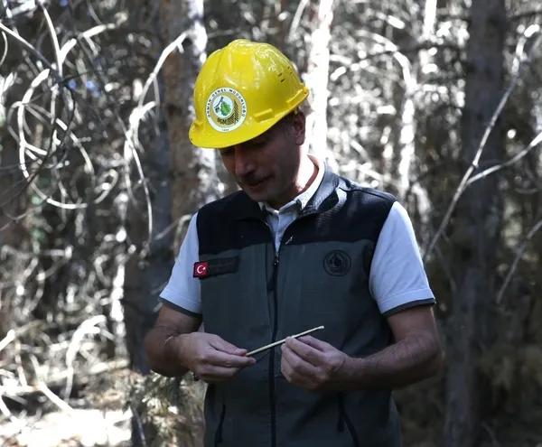 ormanlarda-yanici-madde-yuku-azaltilmasi-icin-seyretme-calismasi-baslatildi-1755588821551.jpg