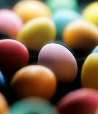 Yumurtadan ne çıkacak