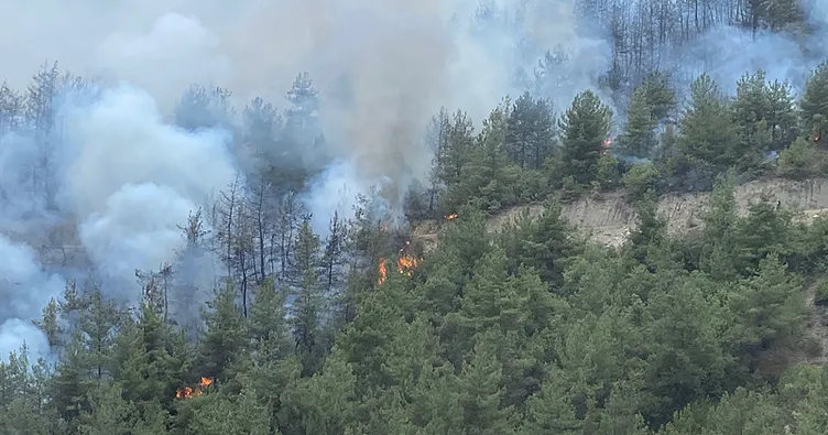 Karabük’te orman yangını