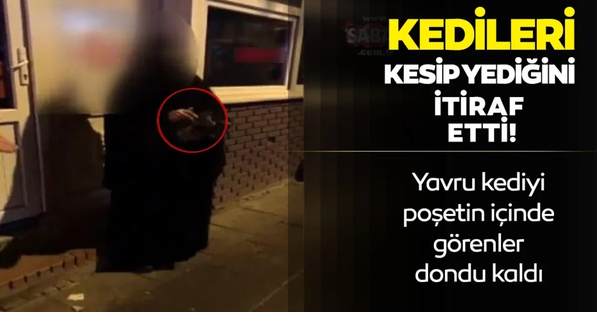 son dakika haberi kedileri kesip yiyen