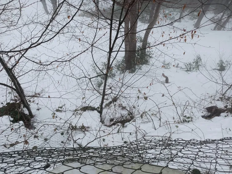 Tuğba Paloluoğlu kayak yaparken 5 metreden düşerek ölmüştü: İşletme sahibine verilen ceza pes dedirtti!