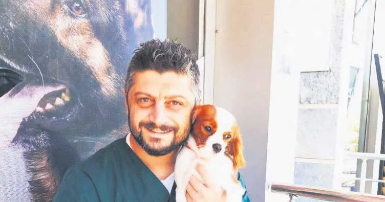 Hayvanseverlerden büyükşehire çağrı