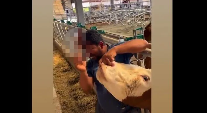 Kurbanlık hayvana içki içirdi! Sözleri pes dedirtti: Hapladıktan sonra...