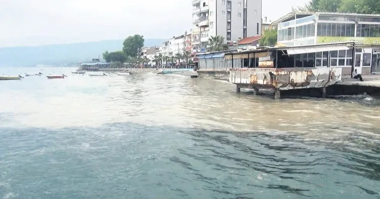 Turistik körfez müsilajla kaplandı