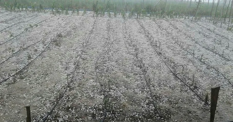 5 gün sonra Amasya’da ikinci dolu afeti