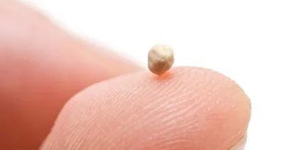 Metabolizmayı canlandırarak vücutta yağ bırakmayan süper gıdalar