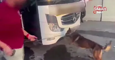 Adana’da otobüste 9 kilo 960 gram esrar ele geçirildi, muavin tutuklandı | Video
