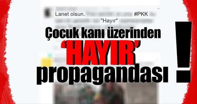 FETÖ’cü Amberin ve İHD Çocuk kanı üzerinden hayır propagandası yaptı