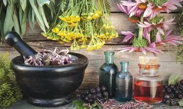 139 çeşit tıbbi aromatik ve süs bitkisine Hazine desteği! Yerli üretim, Hazine taşınmazları ile destekleniyor #balikesir