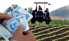MAZOT VE GÜBRE DESTEĞİ SON DURUM: Tarımsal Destek Ödemeleri yattı mı, ne zaman yatacak?