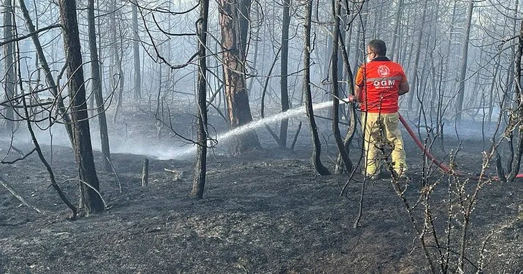 Bolu’daki orman yangını söndürüldü: Toplam 8 hektarlık alan zarar gördü