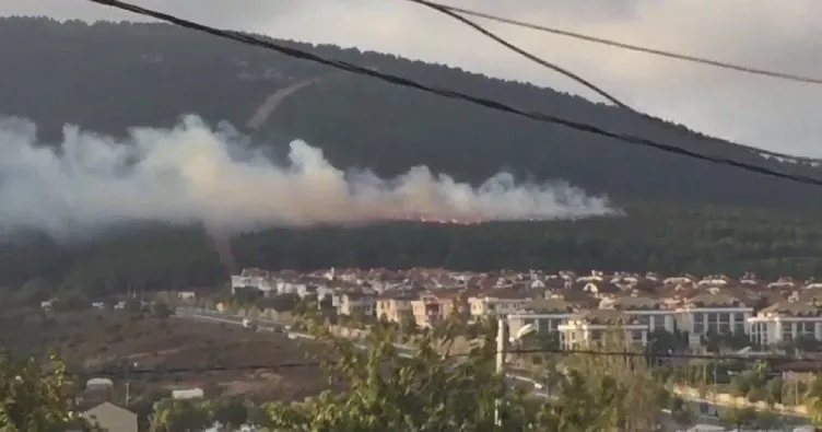 İstanbul’daki orman yangınında son dakika gelişmesi: O PKK’lının kaderi belli oldu