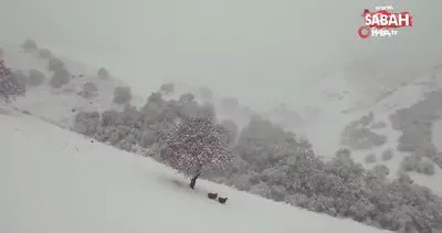 Çin’de mevsimin ilk karı kartpostallık görüntüler oluşturdu | Video