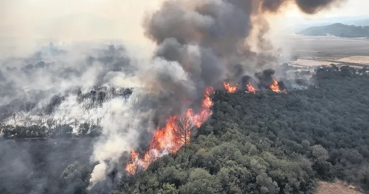 Alevlere karşı seferberlik ruhu